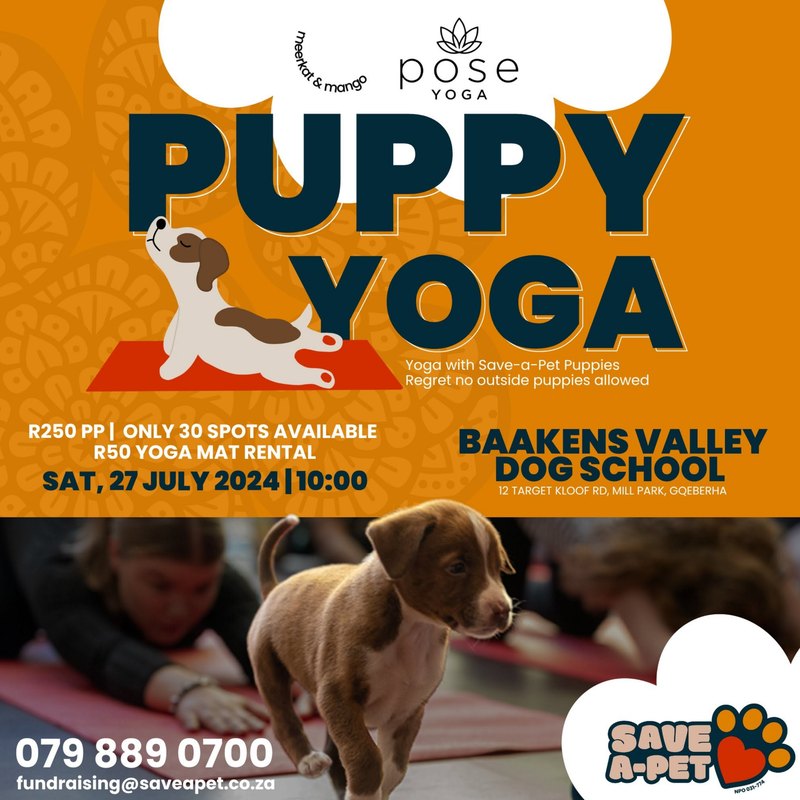 Puppy Yoga fundraiser poster – designed by Meerkat Mango for Save-a-Pet