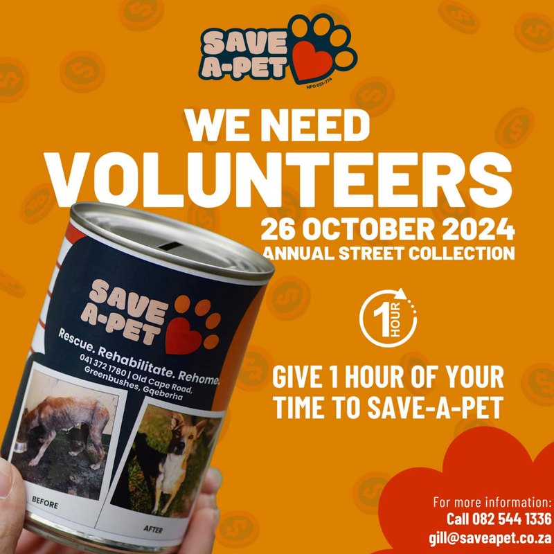 Annual street collection volunteer call-out – designed by Meerkat Mango for Save-a-Pet
